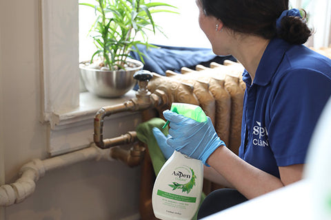 AspenClean professional cleaner is using Natural All Purpose Cleaner to clean the cabin