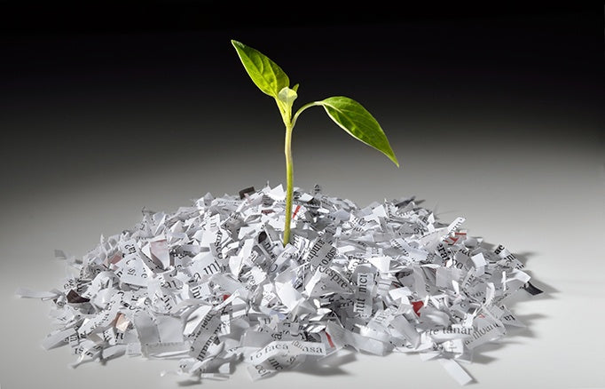 shredded paper with a new leaf  