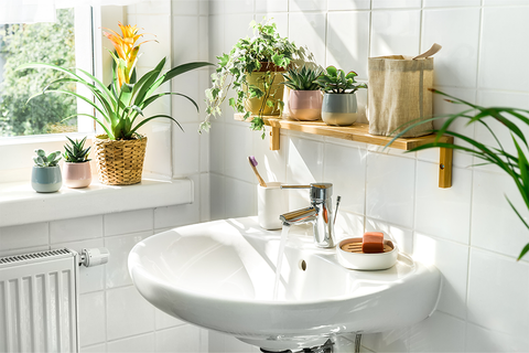 Professional Spring Cleaning Checklist - Bathroom