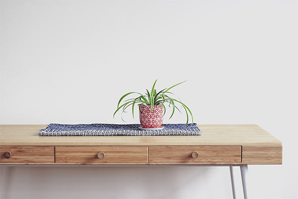 Clean wood table with a indoor plant 