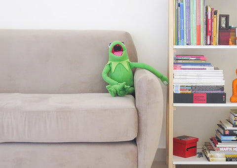 The Frog doll on the clean sofa, and there is the cabinet besides