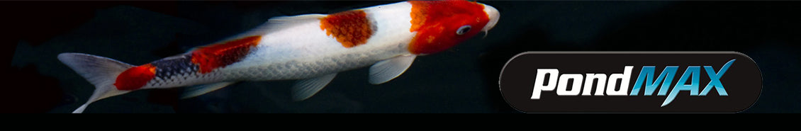 pond and lighting sale