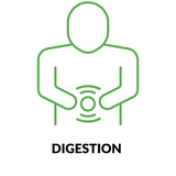 DIGESTION