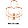 DIGESTION orange