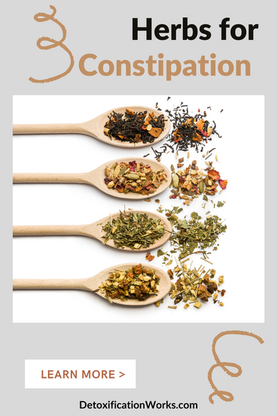 Herbs for Constipation  As Constipation Remedies 