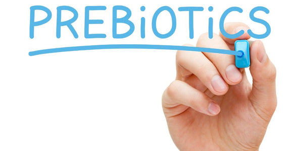 Prebiotics