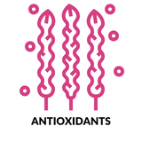 antioxidants immunity