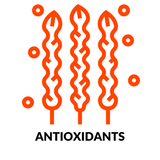 antioxidants acerola