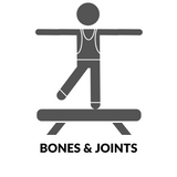 bones and joints