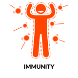 immunity acerola