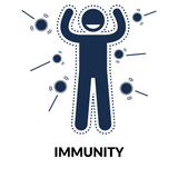 immunity blueberry