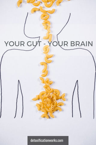 your gut your brain