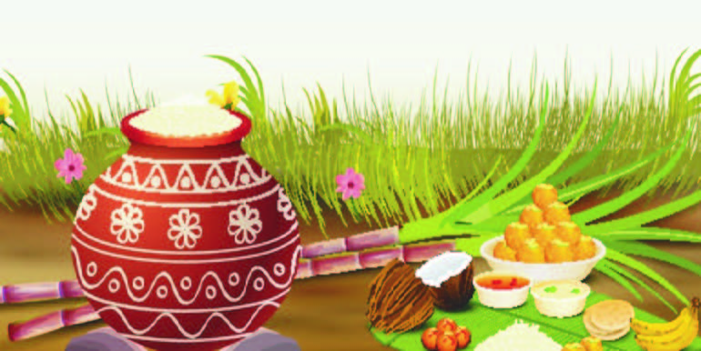 how to celebrate thai pongal