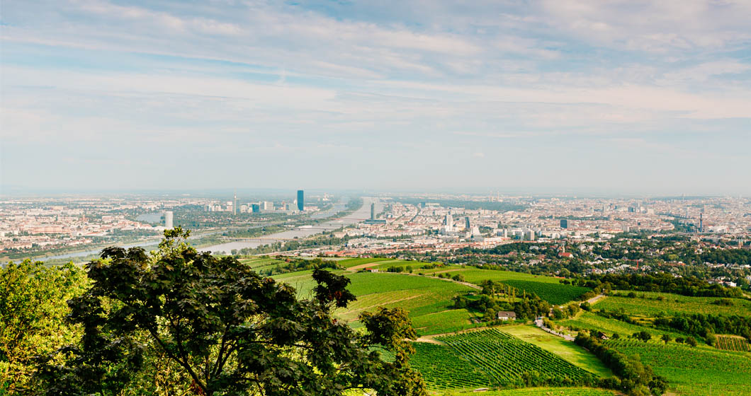 Kahlenberg Green Line Vienna