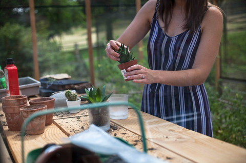 gardening