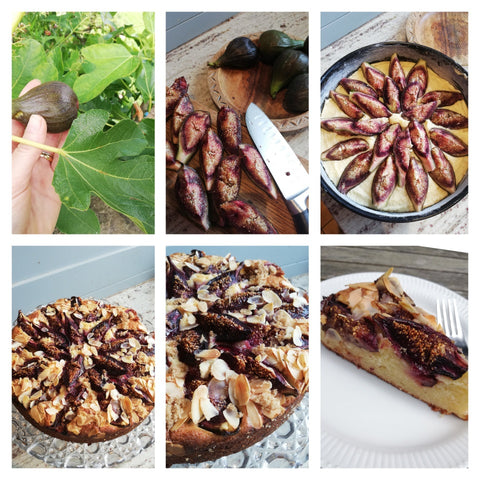 Fig and almond cake