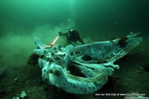 DUI Scuba Dive Trip Newfoundland