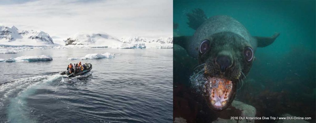 2018 Antarctica dive trip