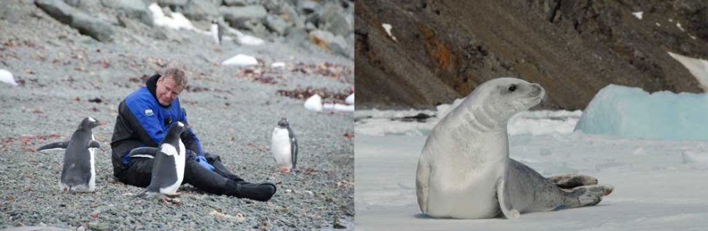 2018 Antarctica dive trip