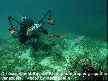 Diving with Brian Skerry