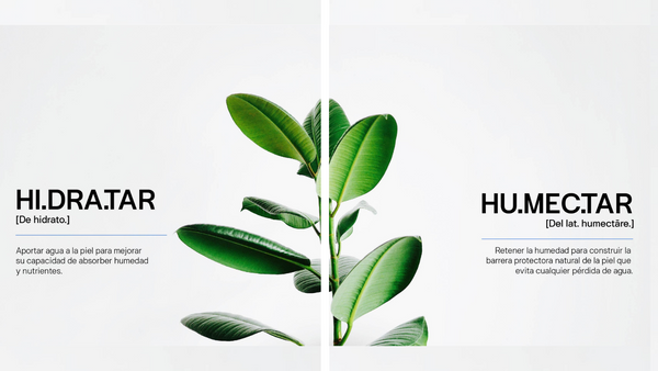humectar vs hidratar diferencia