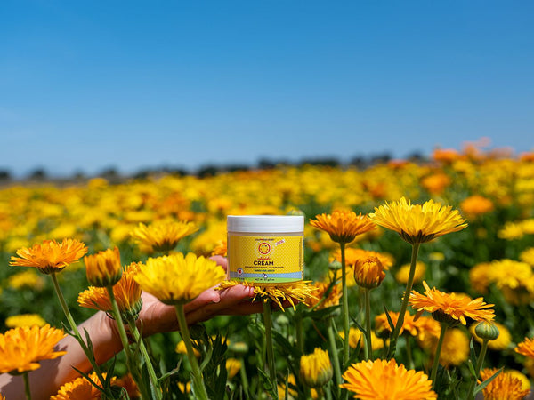 Calendula Cream