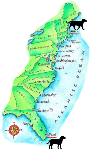map of dog's jounrey from boston to miami 