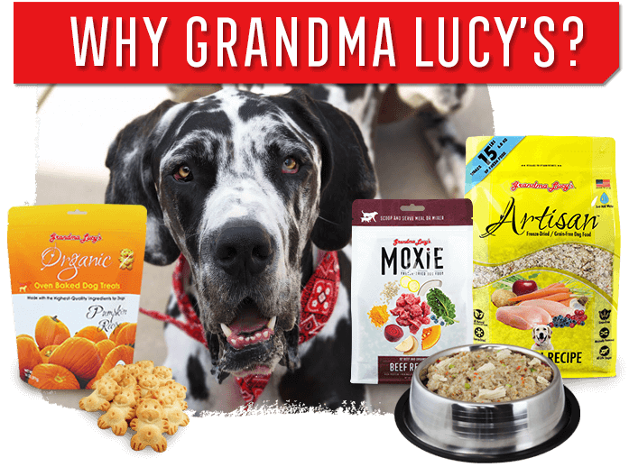 grandma lucy's cookies