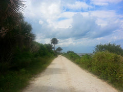 Merrit Island Wild Life Refuge