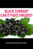 black currant