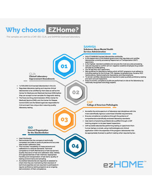 Load image into Gallery viewer, ezHOME Hair Test - 1005-9950