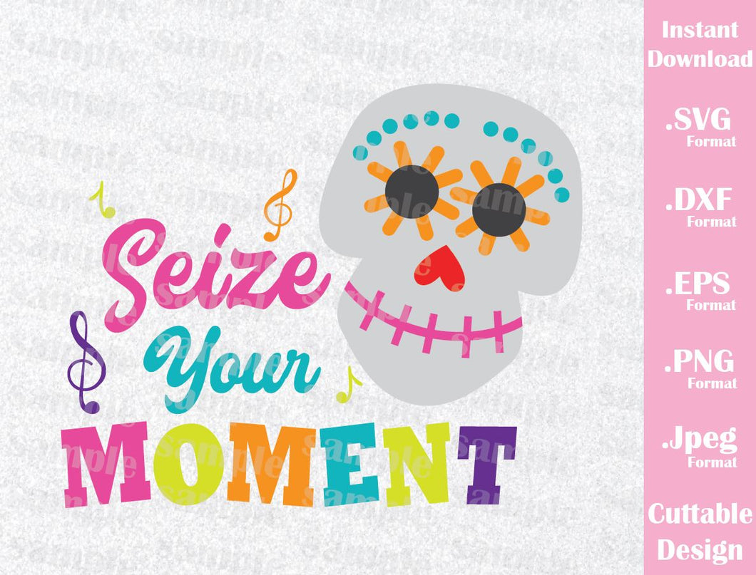 Download Coco Disney Inspired Quote, Seize Your Moment, Family ...