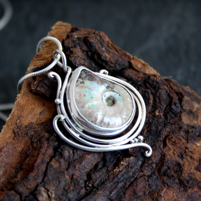 In the Flow With ammonite Fossil $225