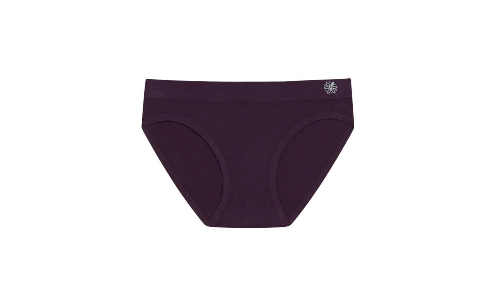 Chloe Seamless Modal Bikini Brief in plum color.