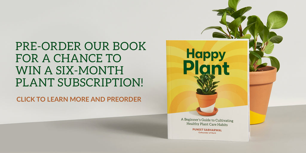 Pre-Order Happy Plant