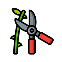 spring care pruner