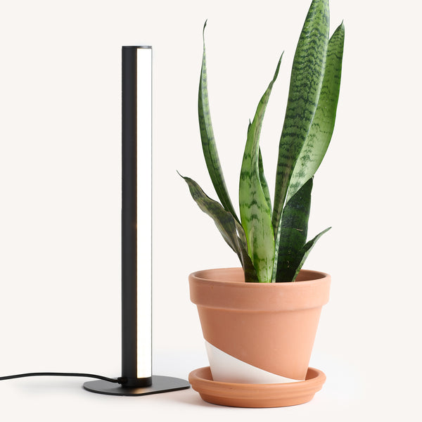 standing grow light