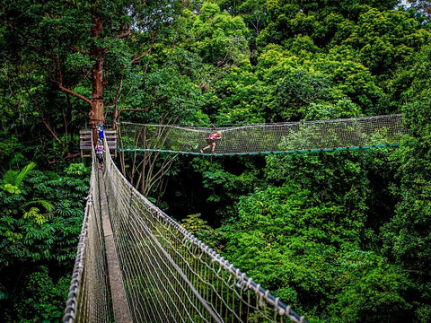 Tree Top Challenge