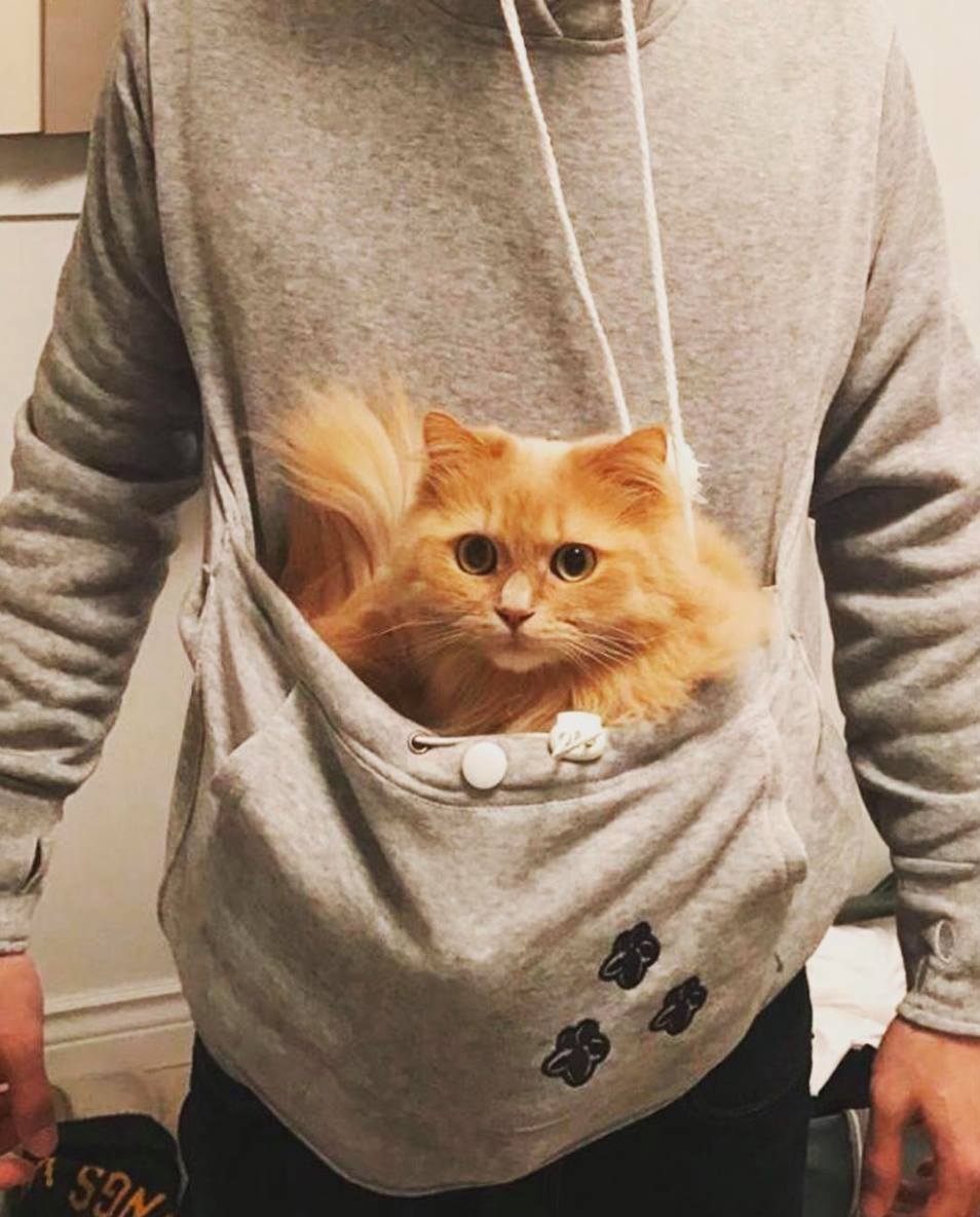 cat pocket sweater