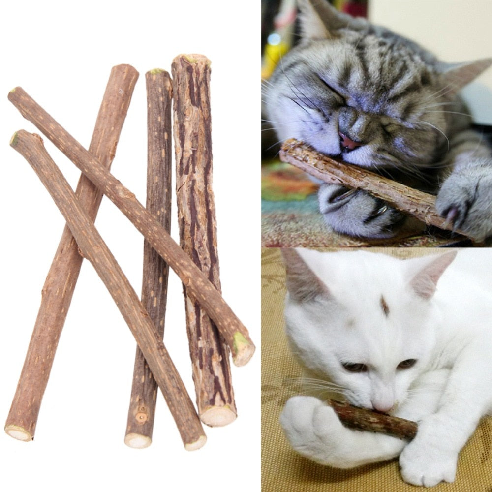 sticks for cats to chew