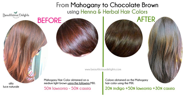 Cover grey hair naturally Mahogany Chocolate Brown using Henna Herbal Hair Colors