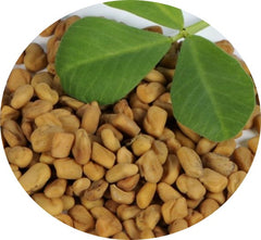 fenugreek methi seeds preparation