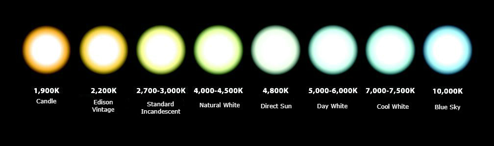 Kelvin Bulb Chart