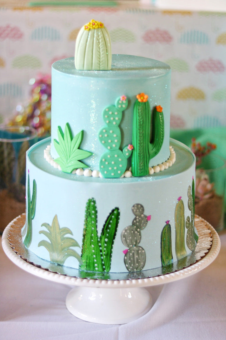 Cactus Birthday Cake, Rainbow tassel llama cactus birthday cake | Adult ...