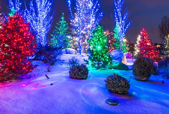 All colors of super mini lights on trees, showing their spotlight tip effect on the snow