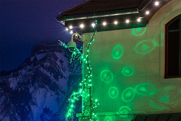 Green super mini lights on trees, showing their spotlight tip effect on the side of a house