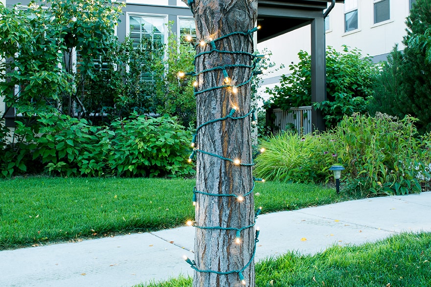 Strand of mini LED string lights with Pro-Plug from Village Lighting