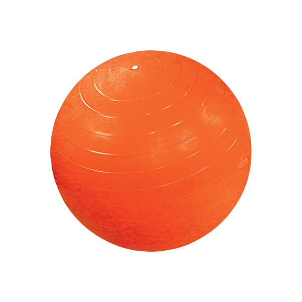 inflatable exercise ball