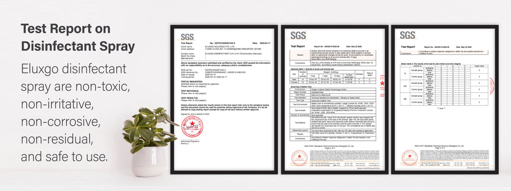 Eluxgo Disinfectant Spray Test Report Safe to Use