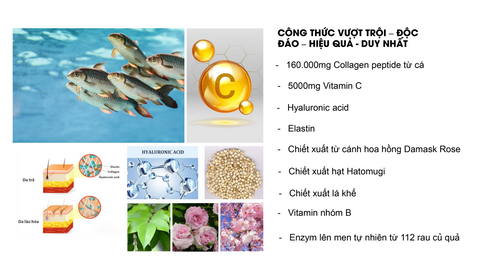 nước uống Hebora collagen